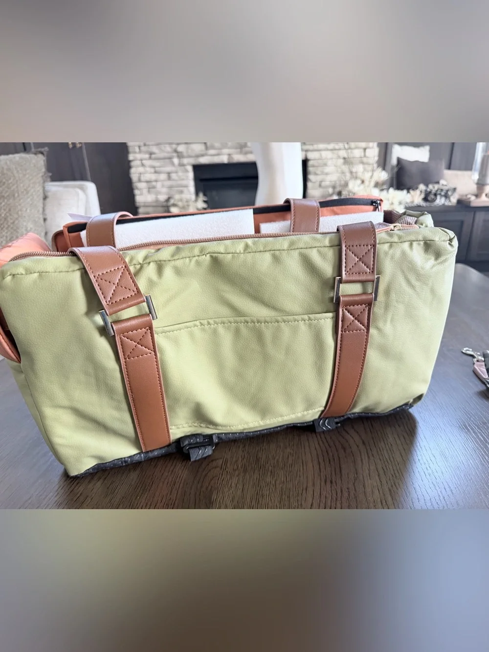 Luxury Pet Carrier and Seat - Green by Funny Fuzzy